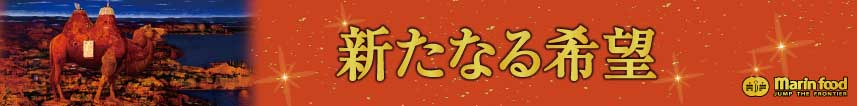 新・大航海時代～未知の国、嵐の中へ～