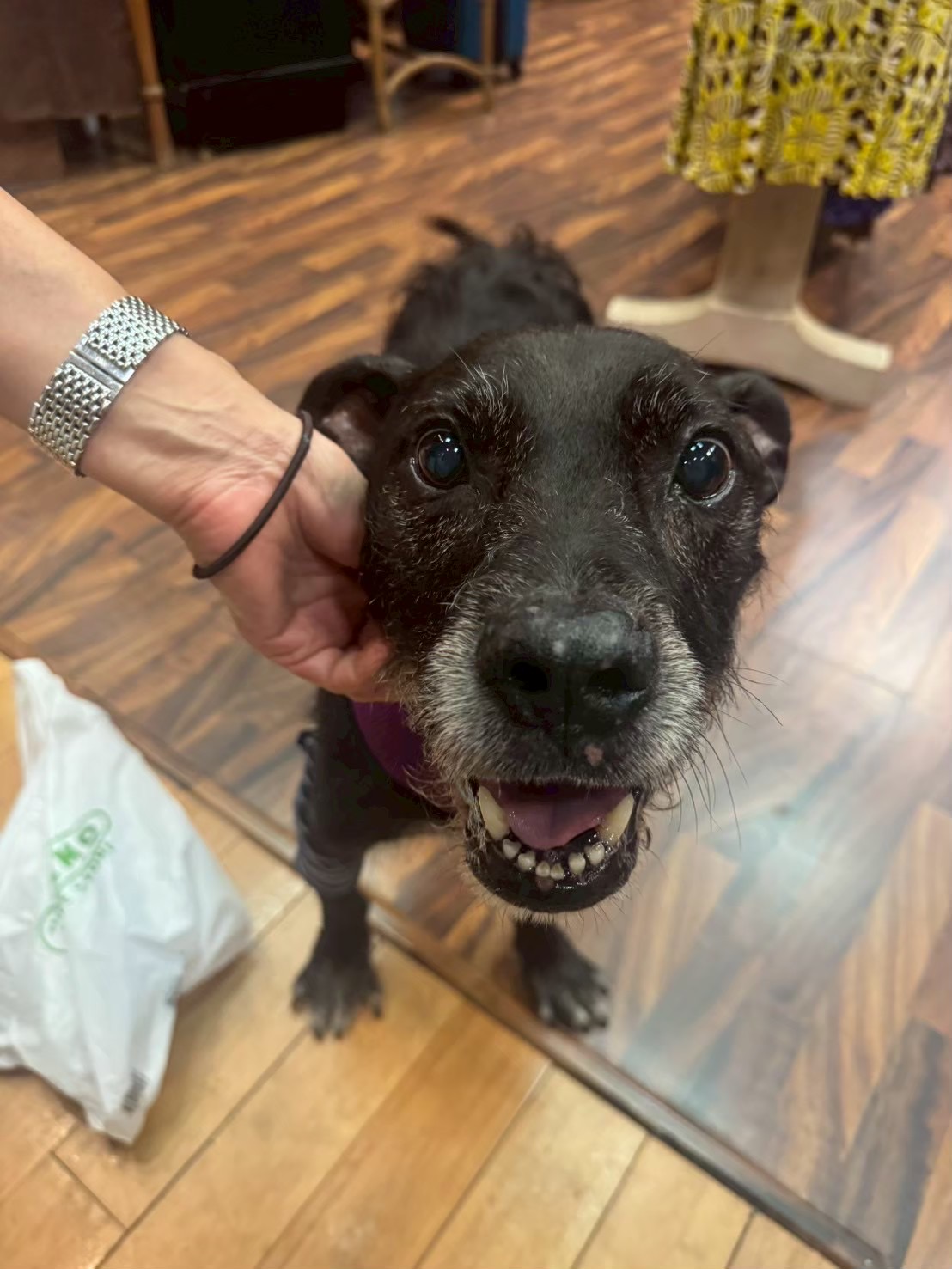 3泊5日ハワイ旅行